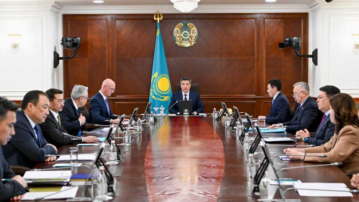 Үкіметте инклюзивті саясат шаралары қаралды