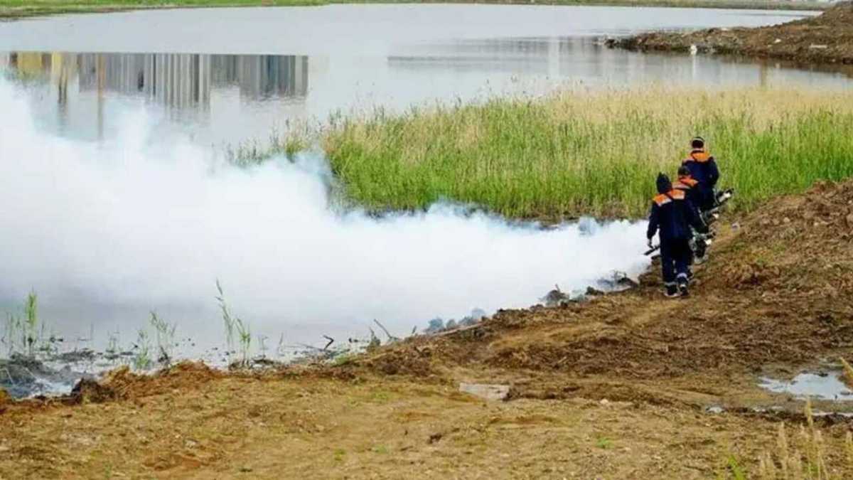 Астанада маса мен шыбын-шіркейге қарсы дезинсекцияның бірінші кезеңі басталды