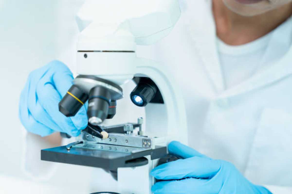 Қазақстанда есірткіге тәуелді шенеуніктер әшкереленеді