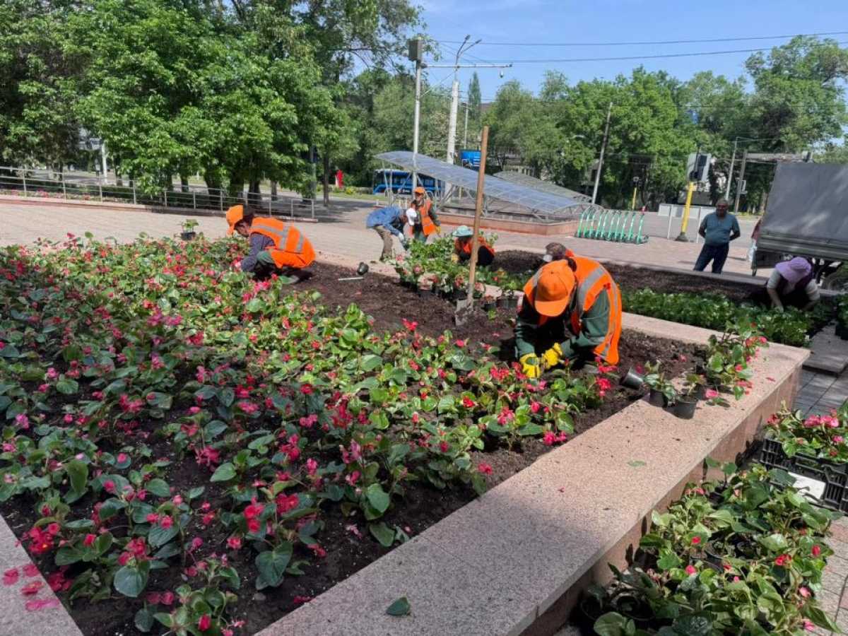 Алматыда «Таза Қазақстан» аясында сәндік көгалдандыру ауқымы кеңейтілуде