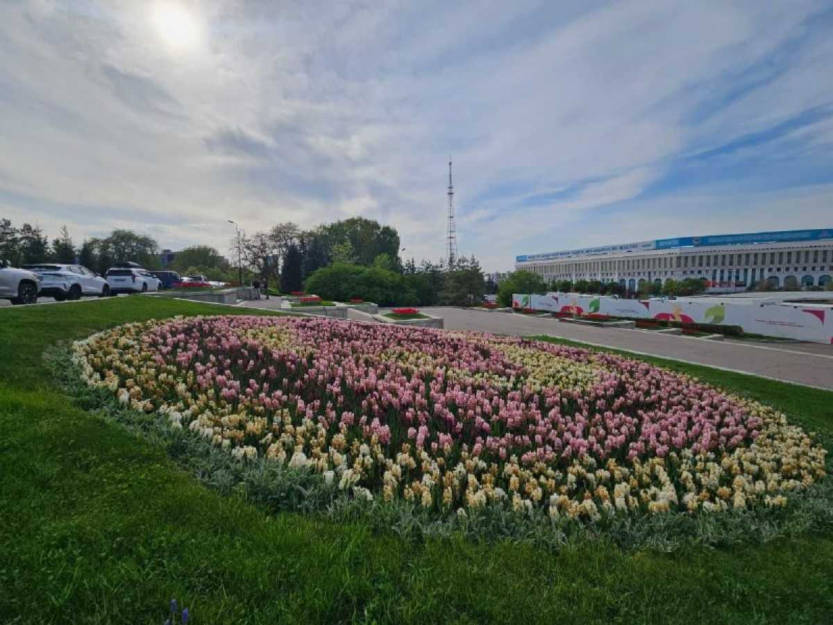 Алматыда сәндік көгалдандыру ауқымы кеңейтіледі