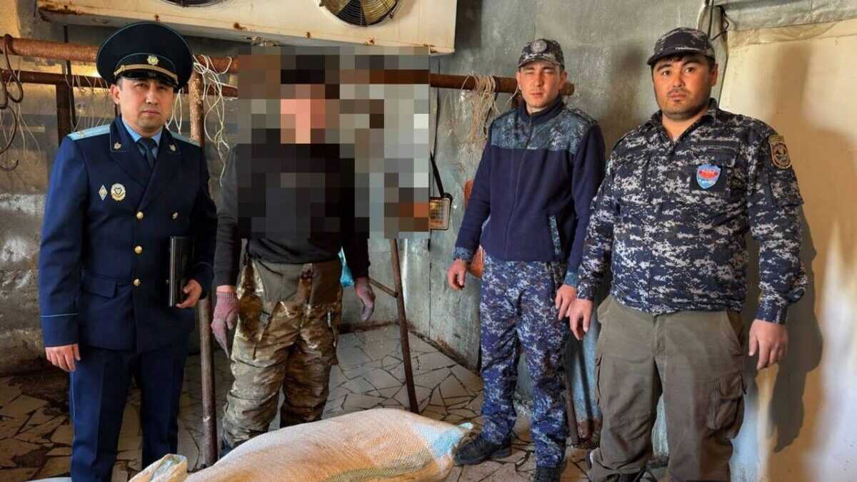 ШҚО-да тыйым салынған аймақта заңсыз балық аулау дерегі анықталды