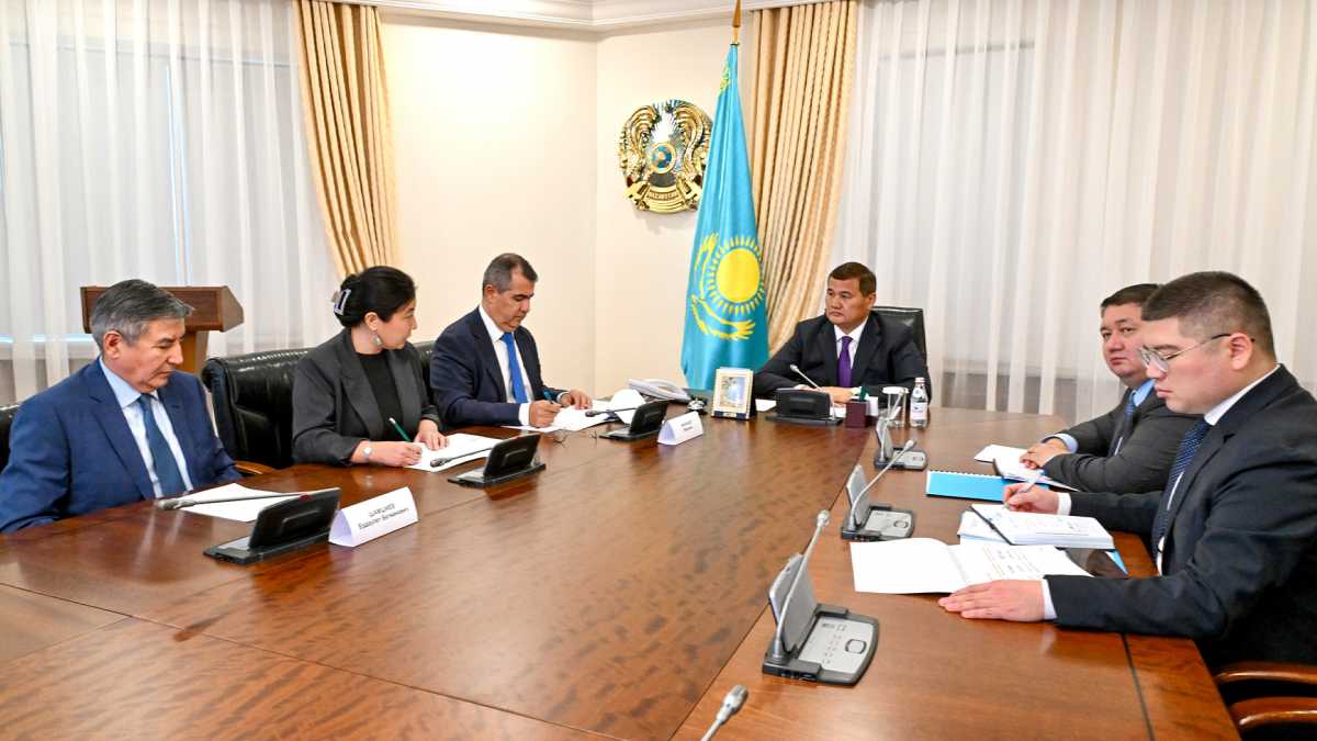 Нұрлыбек Нәлібаев Air Astana әуе компаниясының қызметі жөнінде кеңес өткізді