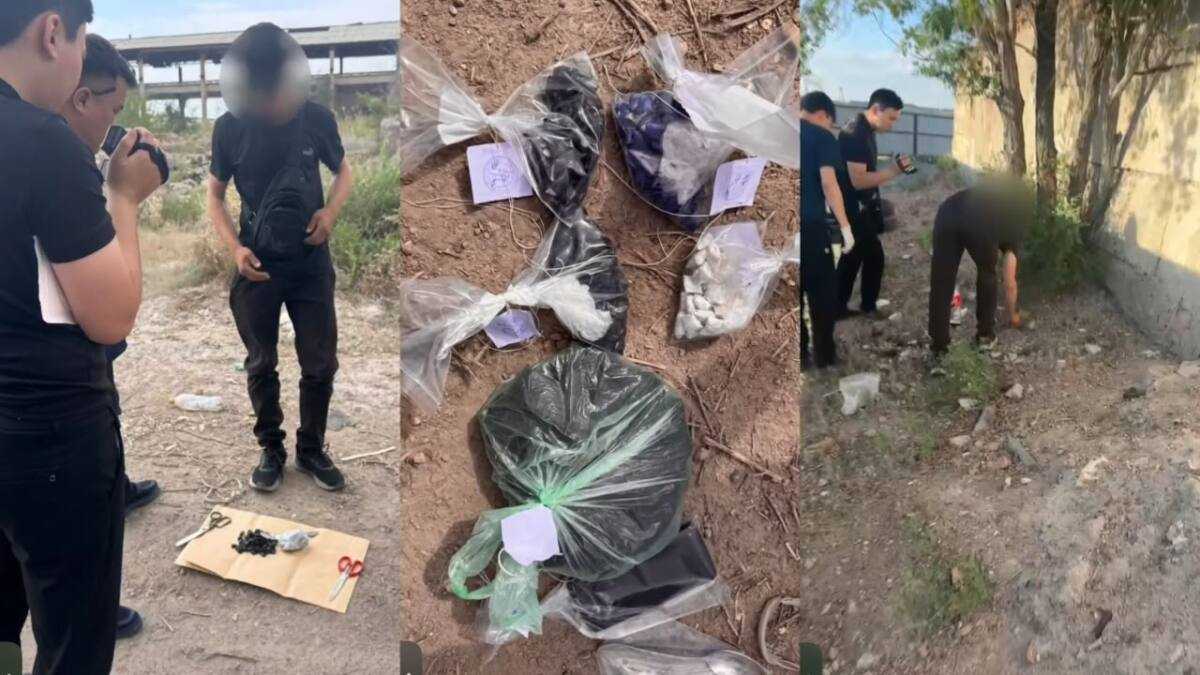 Қарағанды облысында есірткі курьері ұсталып, 287 орама мефедрон тәркіленді