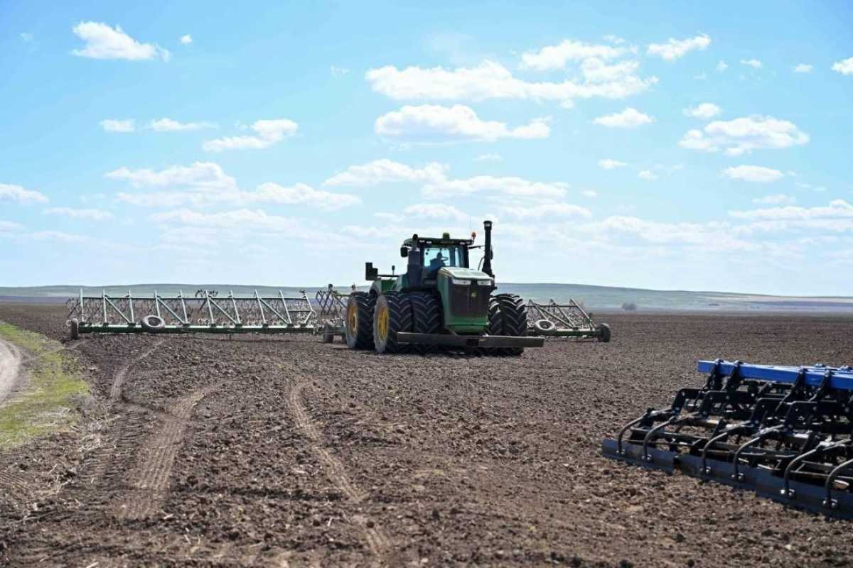 Қазақстанда 20,9 млн гектар егіс алқабы себілді