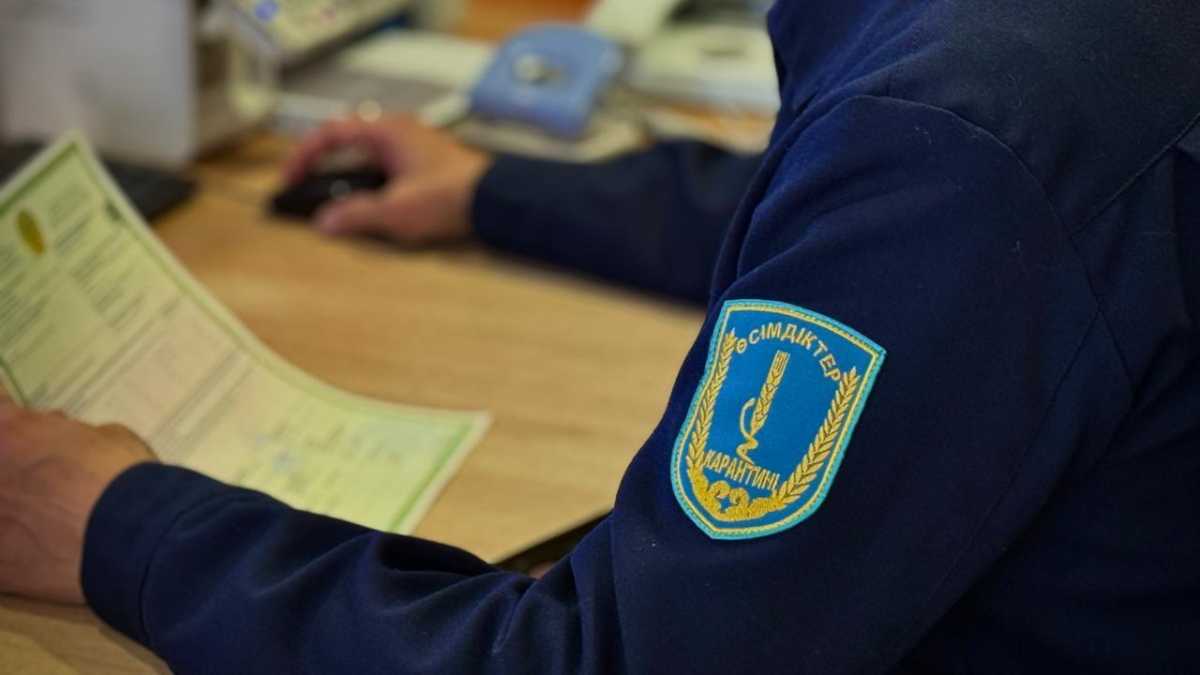 Биылғы жылдың басынан бері ҚХР шекарасында 113 тоннадан астам бақылаудағы өнімнің заңсыз әкелінуінің жолы кесілді