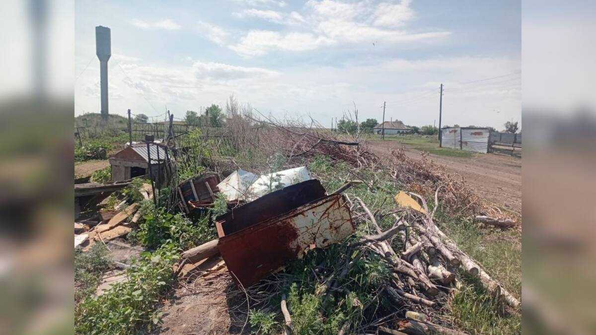 Павлодар облысында полицейлер мен табиғат қорғаушылар экологиялық жауапкершілікті арттыруда