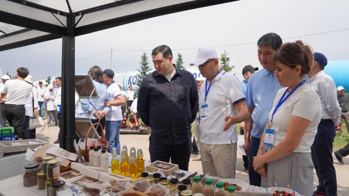 «Дала күні – 2026» аясында заманауи цифрлық шешімдер таныстырылды
