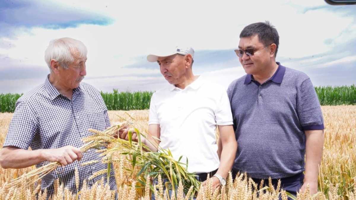 Жетісу облысында дәнді дақылдардың өнімділігін арттырудың заманауи технологиялары талқыланды