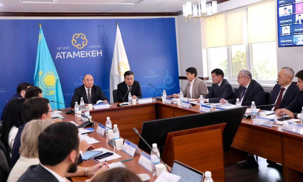 Астанада платформалық жұмыспен қамту мәселелері жөніндегі жұмыс тобының алғашқы отырысы өтті