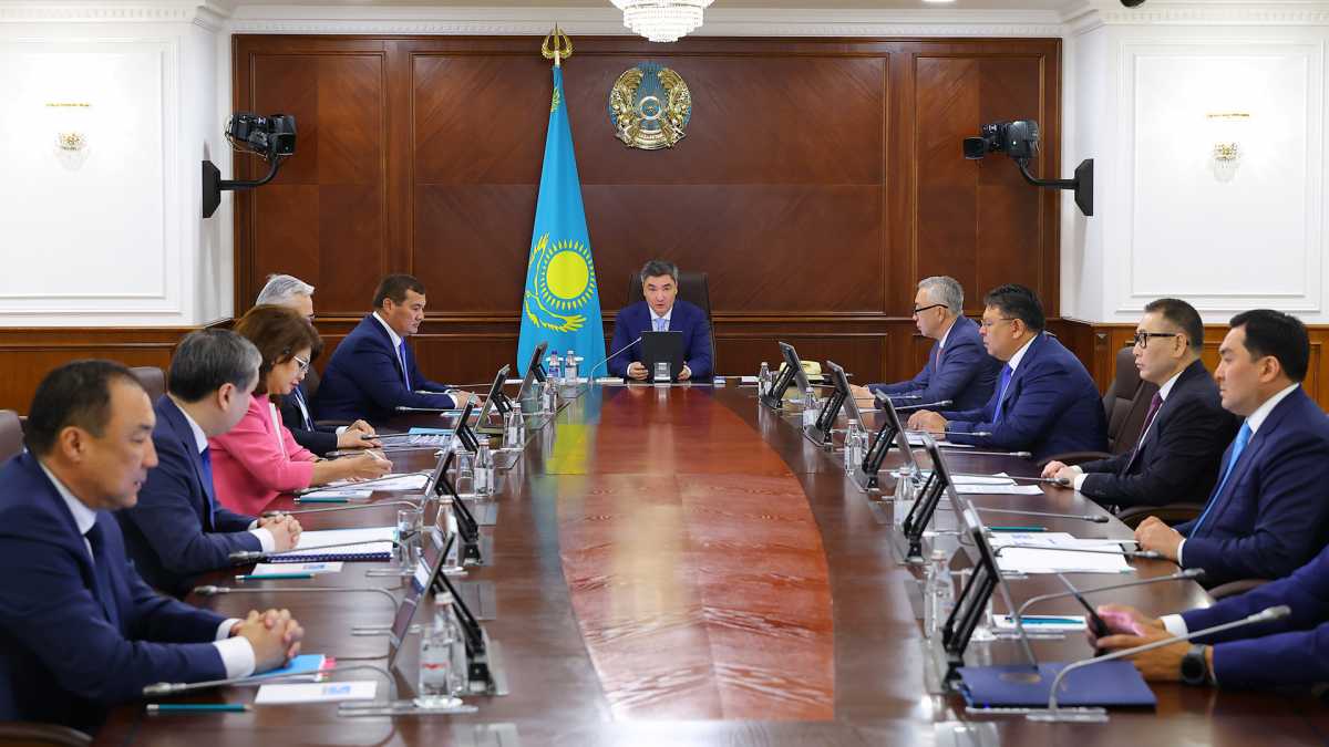 Үкімет экономика салаларындағы әлеуетті тиімді пайдалануға басымдық беріп отыр