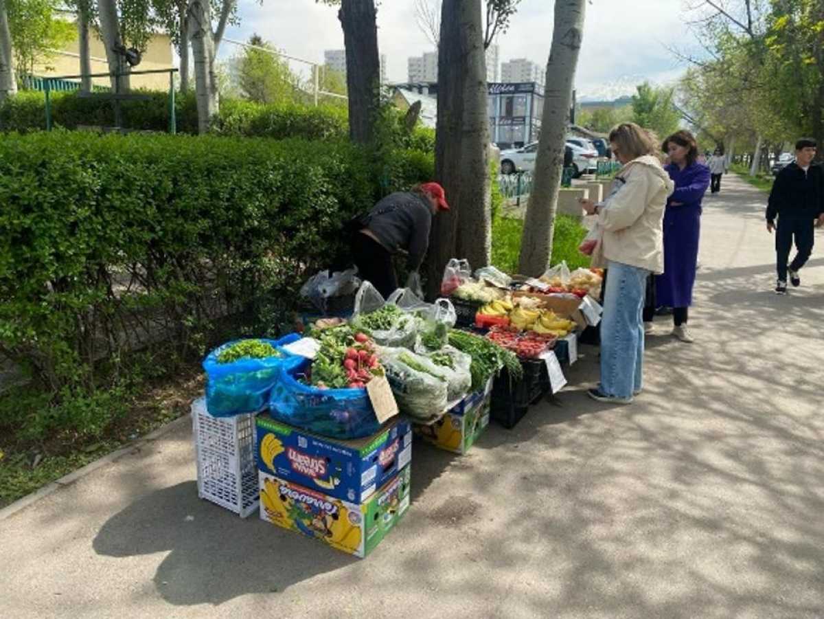 Алматының Әуезов ауданында заңсыз сауданың 7 ірі орны жойылды