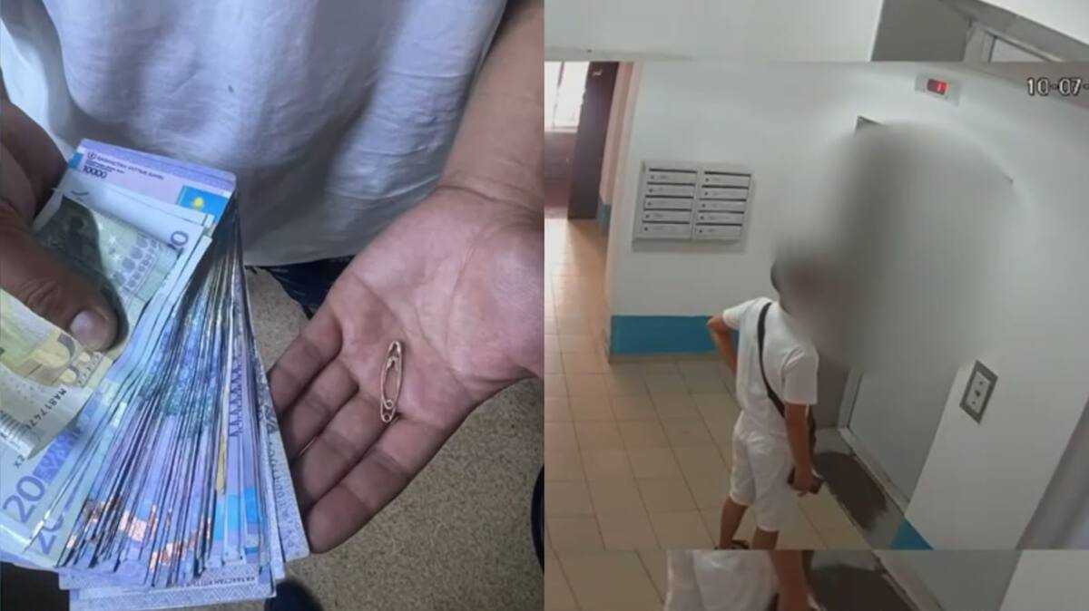Павлодарда полиция ұрлықты кәсіп еткен күдіктіні ұстады