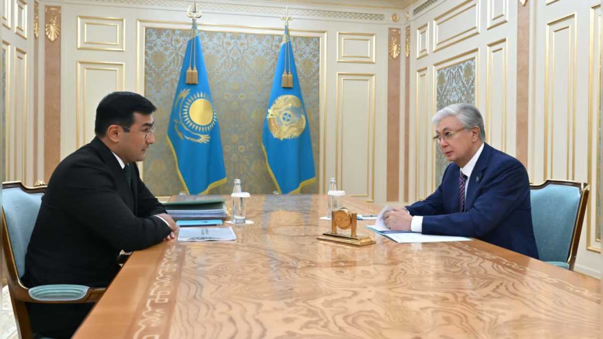 Президент «Бәйтерек» холдингінің басқарма төрағасы Рустам Қарағойшинді қабылдады