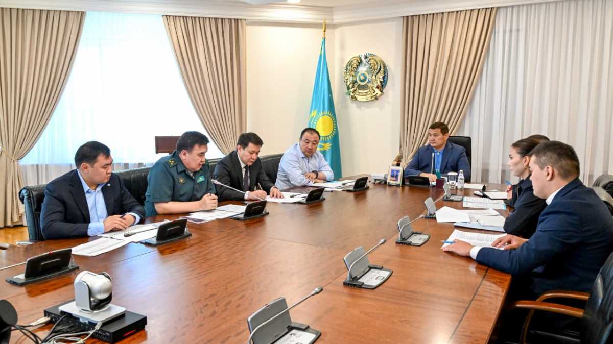 Үкіметте мемлекеттік шекарадағы автокөлік өткізу пункттеріндегі жағдай бойынша жедел кеңес өтті