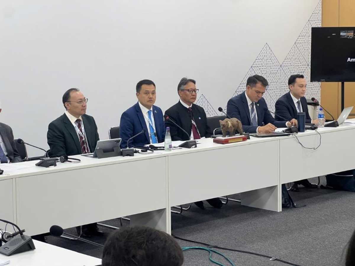 Халықаралық қоғамдастық БҰҰ аясында су саласындағы ынтымақтастықты нығайтуды қолдайды