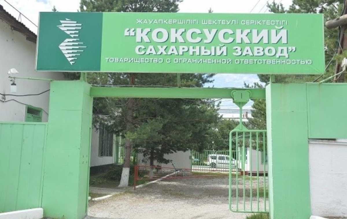Көксу қант зауытының өңдеу қуаты тәулігіне 3 мың тоннаға дейін артады