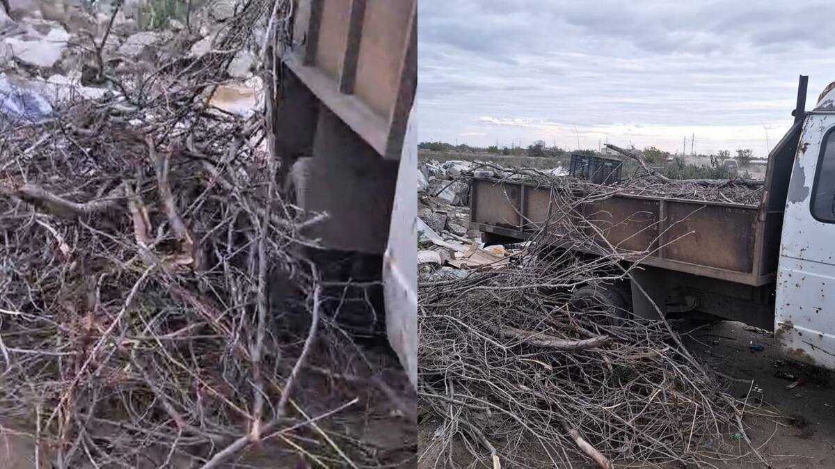 Павлодарда абаттандыру ережелерін бұзған тұрғынның жолы кесілді