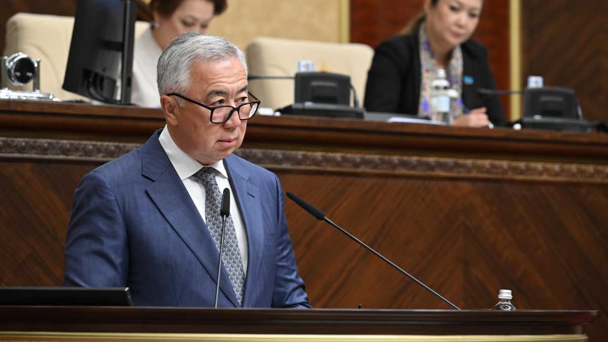 Құрылтай депутаттары Қазақстанның АИИБ-пен әріптестігі туралы Үкімет ұсынған заң жобасын екі оқылымда мақұлданды