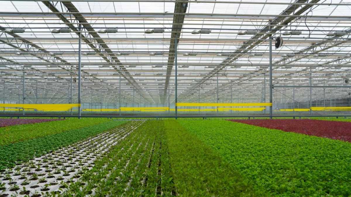 Ауыл шаруашылығы шикізатын өңдеу үлесі екі есеге жуық артты