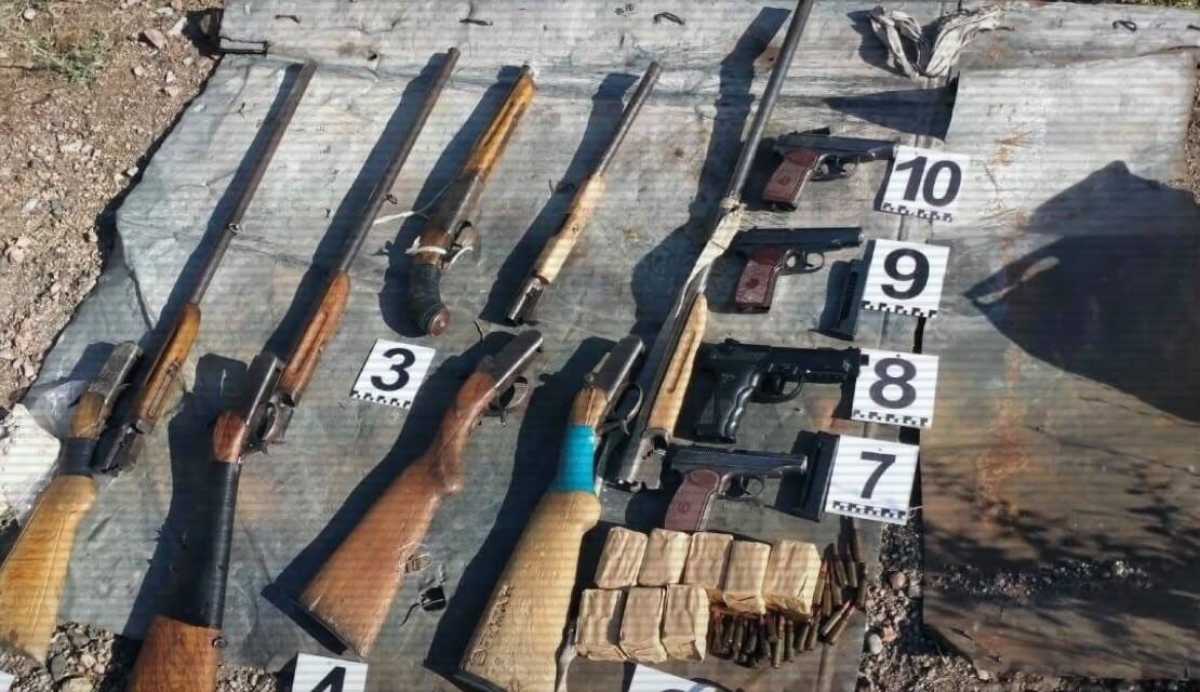 ІІМ заңсыз қару-жарақты тәркілеу жұмыстарын жалғастырып жатыр