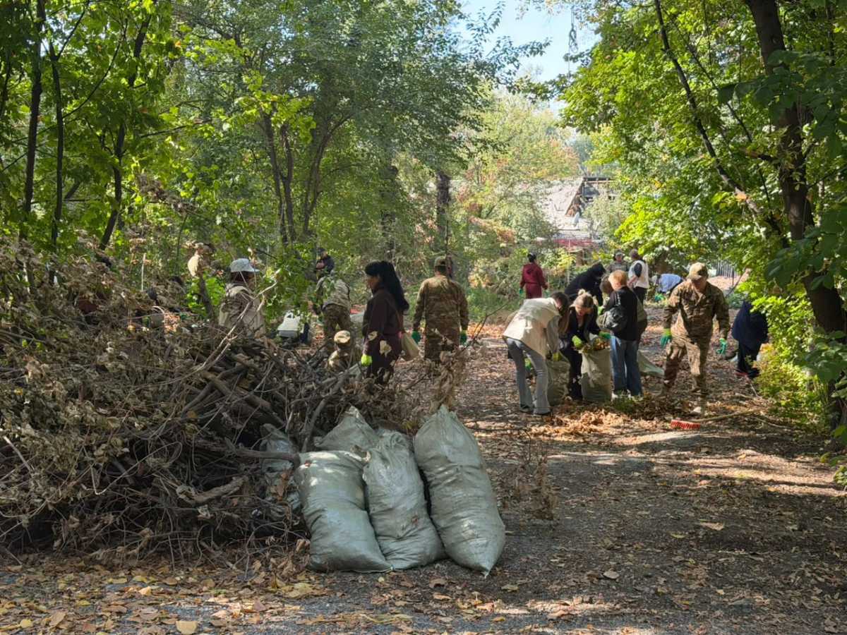 Алматыда бір күнде 1,2 мыңнан астам ағаш егілді