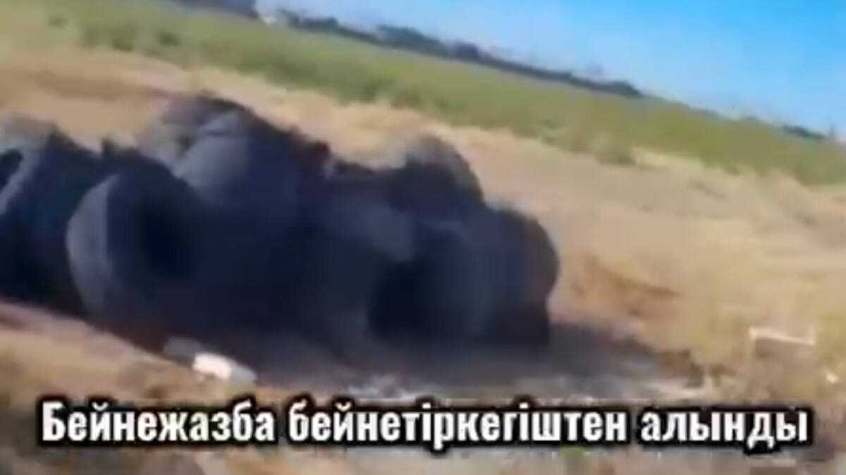 Түркістан облысында 8 тоннаға жуық жарамсыз қалдық заңсыз төгілген жерден шығарылды