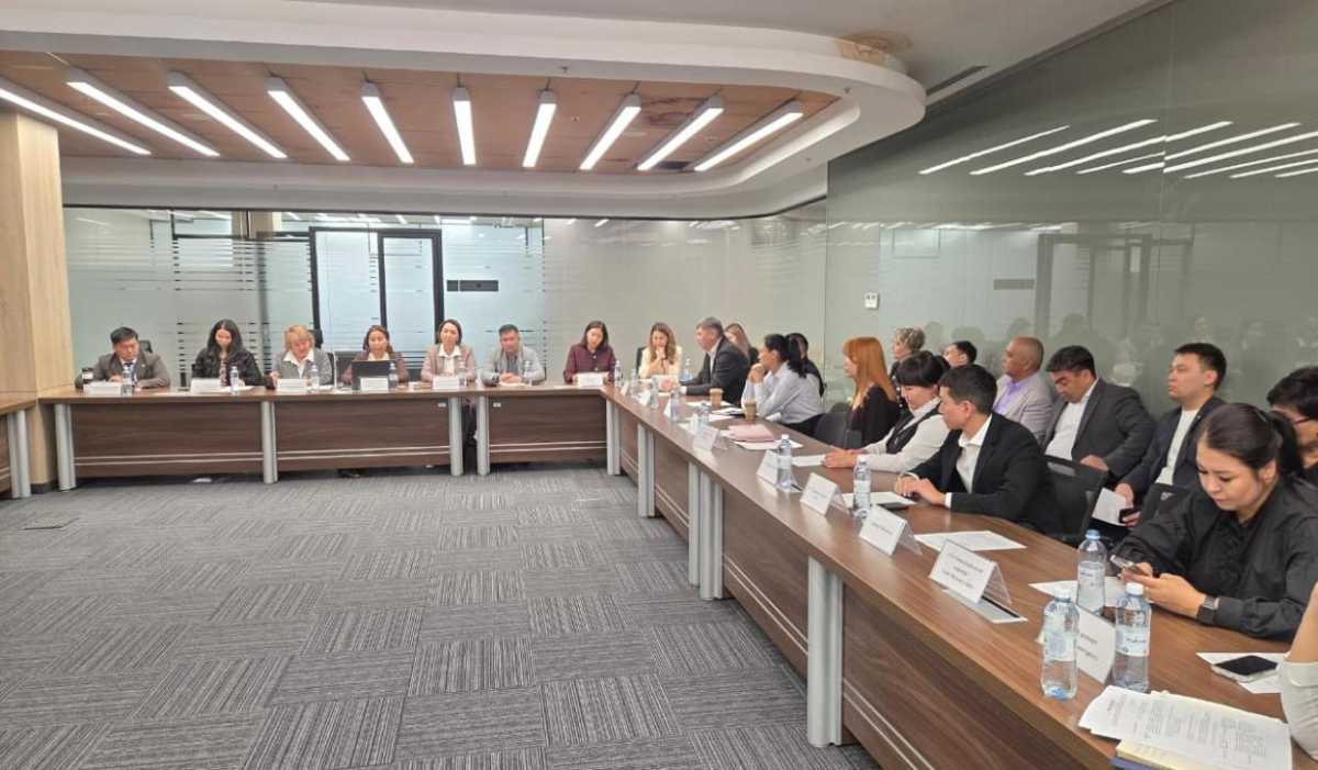Қазақстан әуежайларындағы қолжетімділік мәселелері қаралды