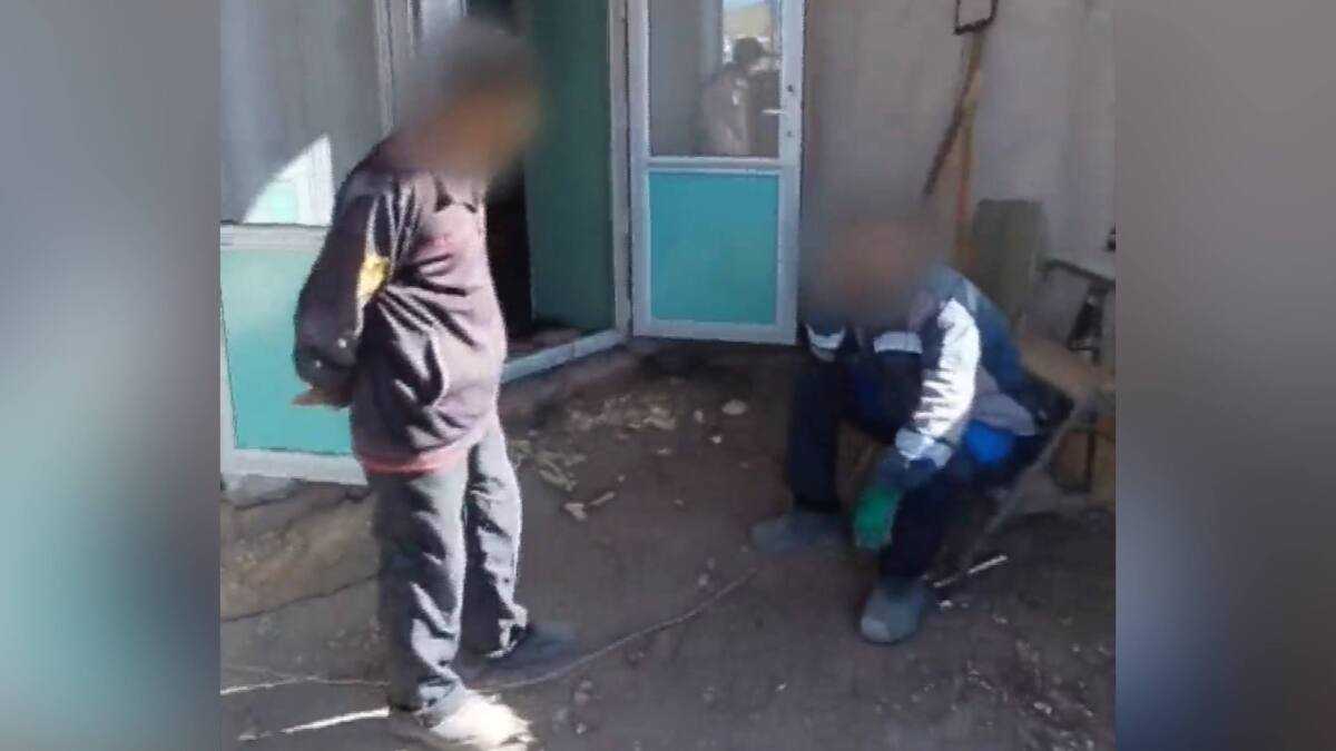 Қарағанды облысында шетелдік жұмыс күшін заңсыз пайдаланған фермер ұсталды