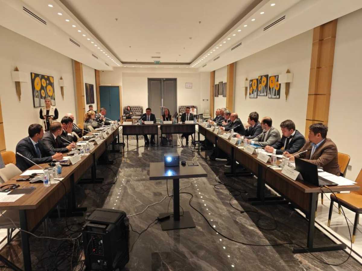 Душанбе қаласында Орталық Азияға арналған бірыңғай сейсмикалық нормаларды әзірлеу жұмыстары басталды