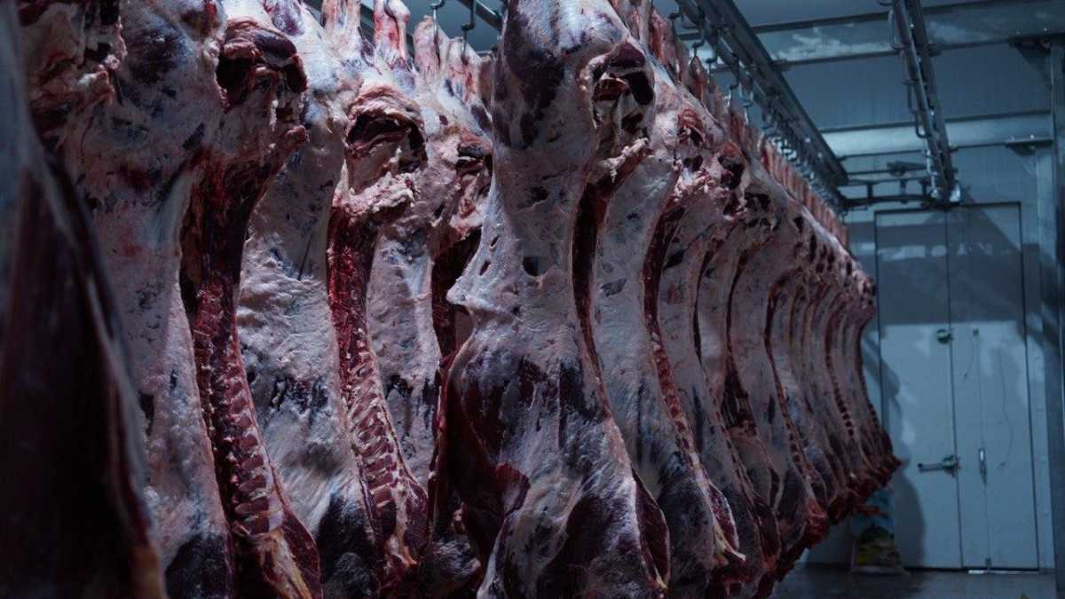 Қазақстанда 846,5 мың тонна ет өндірілді