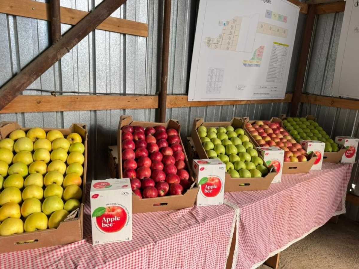 Алматы облысы ауыл шаруашылығы өнімдерін қайта өңдеуді дамытып, агроөнеркәсіптік кешеннің экспорттық әлеуетін нығайтуда